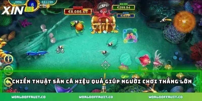 Chiến thuật săn cá hiệu quả giúp người chơi thắng lớn