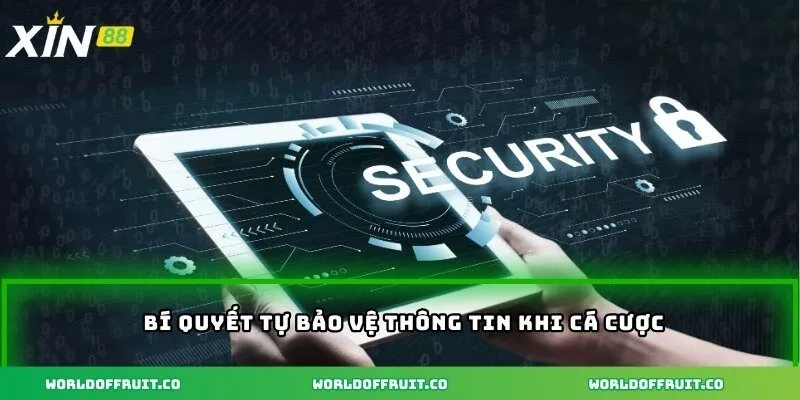 Bí quyết tự bảo vệ thông tin khi cá cược