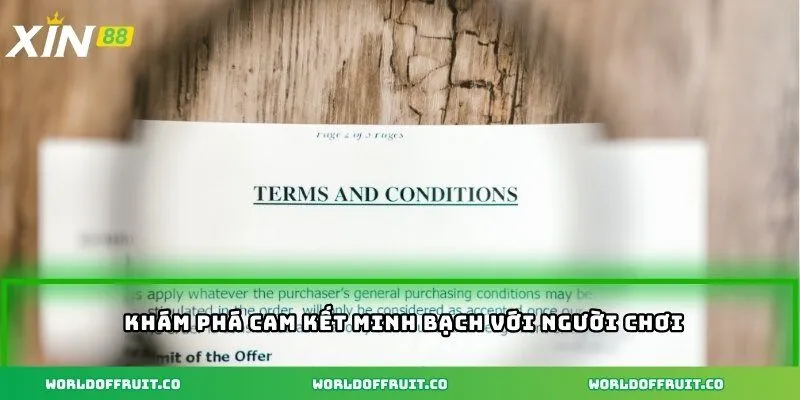 Khám phá cam kết minh bạch với người chơiKhám phá cam kết minh bạch với người chơi