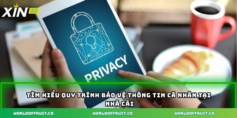 Tìm hiểu quy trình bảo vệ thông tin cá nhân tại nhà cái