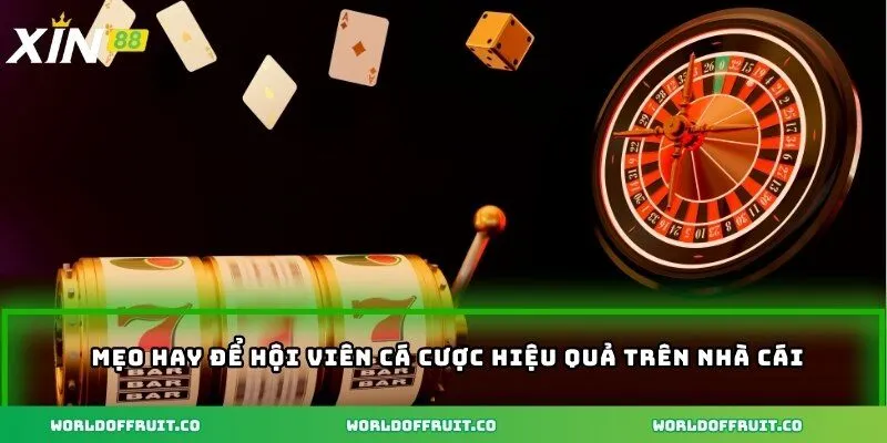 Mẹo hay để hội viên cá cược hiệu quả trên nhà cái