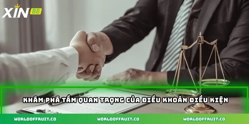 Khám phá tầm quan trọng của điều khoản điều kiện