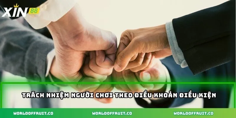 Trách nhiệm người chơi theo điều khoản điều kiện