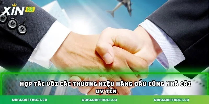 Hợp tác với các thương hiệu hàng đầu cùng nhà cái uy tín