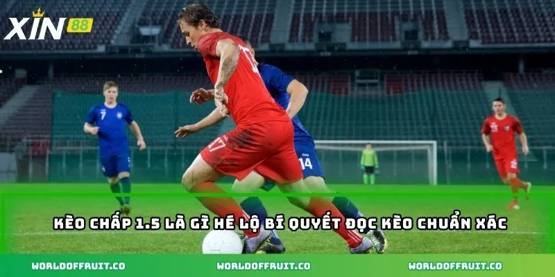 Kèo chấp 1.5 là gì hé lộ bí quyết đọc kèo chuẩn xác