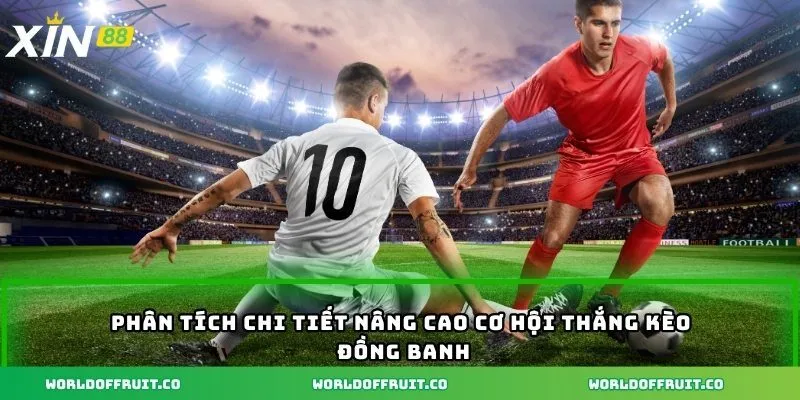 Phân tích chi tiết nâng cao cơ hội thắng kèo đồng banh
