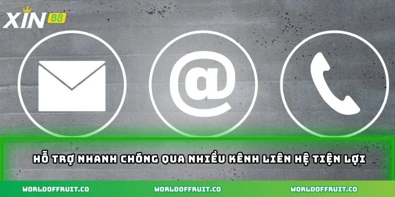 Hỗ trợ nhanh chóng qua nhiều kênh liên hệ tiện lợi