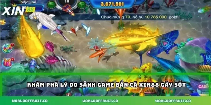 Khám phá lý do sảnh game bắn cá XIN88 gây sốt