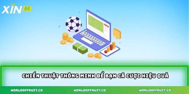 Chiến thuật thông minh để bạn cá cược hiệu quả