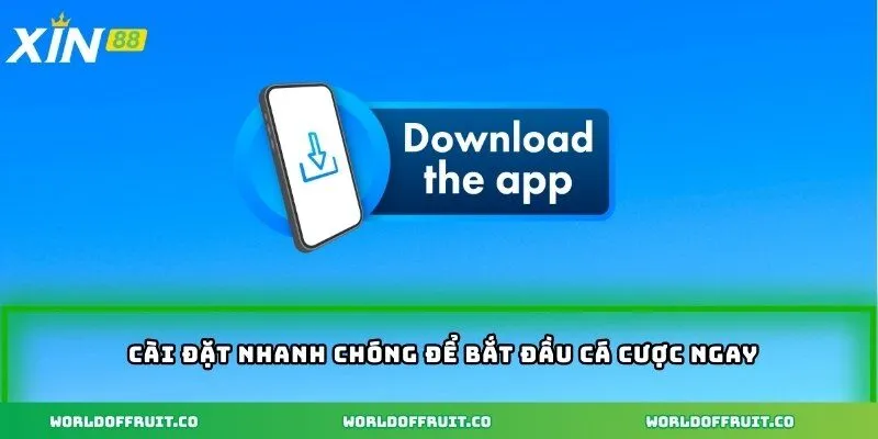 Cài đặt nhanh chóng để bắt đầu cá cược ngay