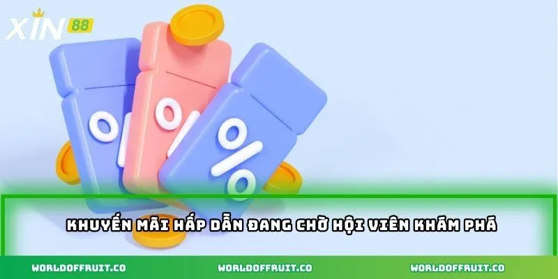 Khuyến mãi hấp dẫn đang chờ hội viên khám phá