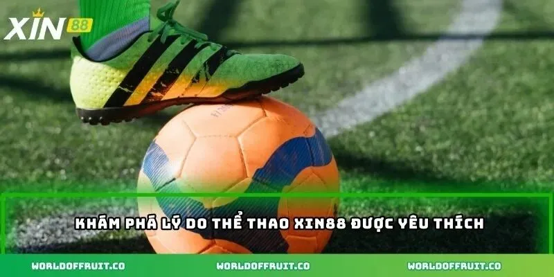 Khám phá lý do thể thao XIN88 được yêu thích