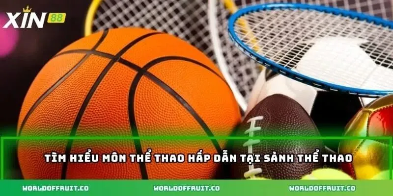 Tìm hiểu môn thể thao hấp dẫn tại sảnh thể thao